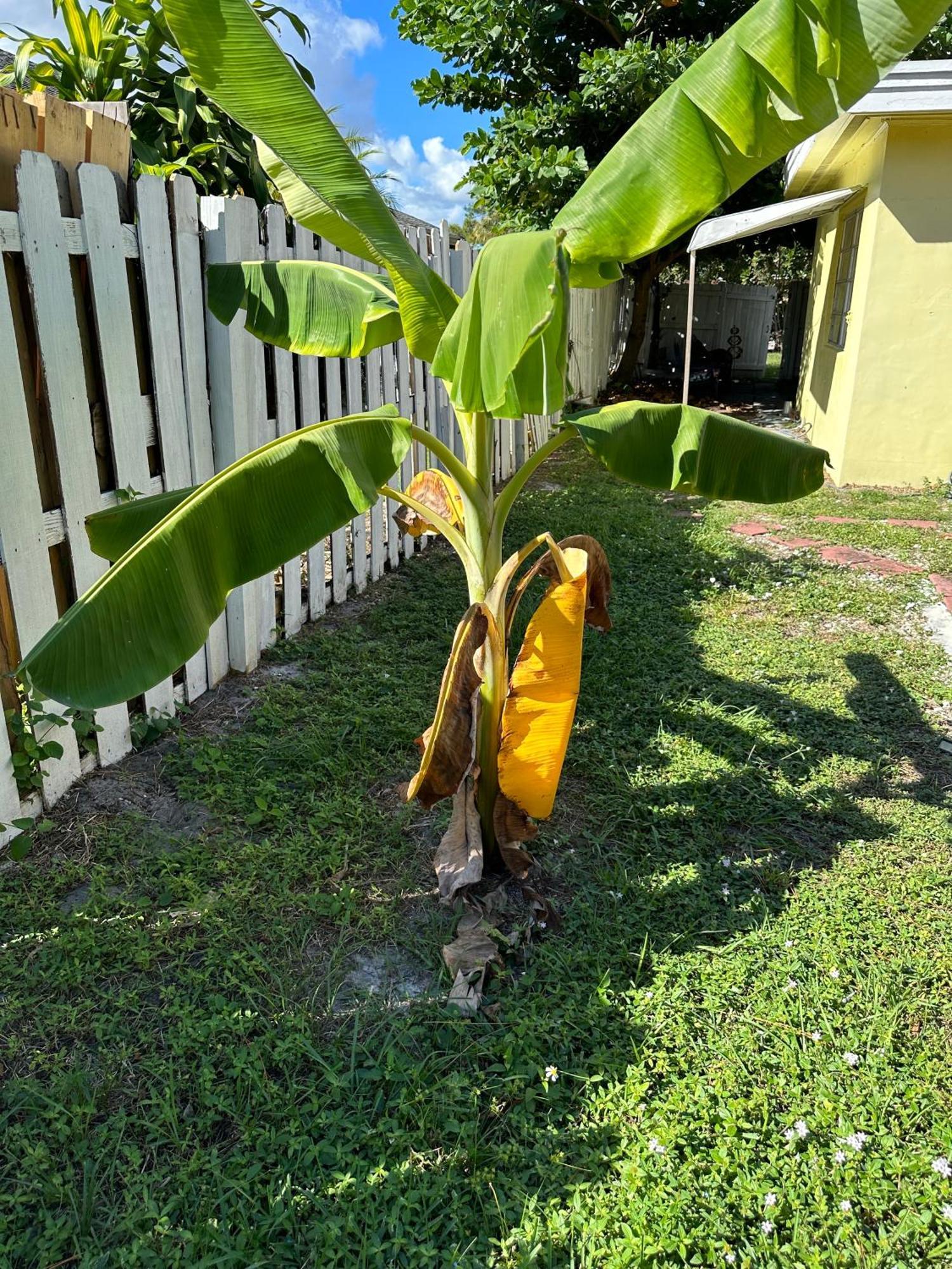 3 Bedroom House Fenced Backyard Private Patio Areas Grill Firepit Plenty Parking! Quick Access 10 Min To Beach Airport Delray West Palm Lake Worth Beach Zewnętrze zdjęcie